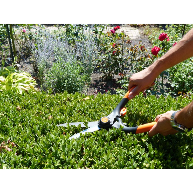 Garten PRIMUS cisaille buis grande, noir/orange, trempé dur, revêtement antiadhésif